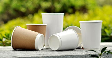 Wholesale Custom Double Wall Paper Cup