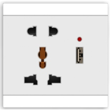 USBを備えた2つのピンと多機能ソケット