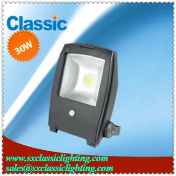 rechangeable light led 30w light floodlight lamp