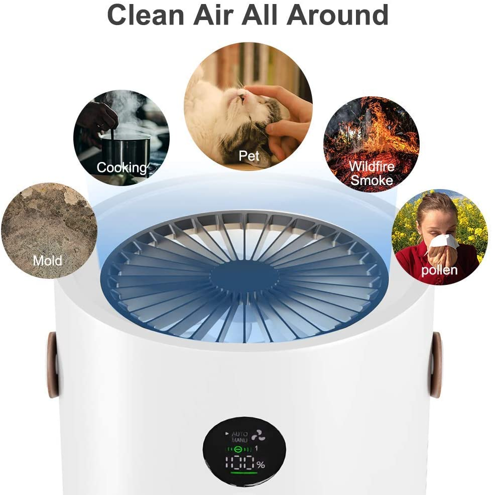 Air Purifier Negative Ion Cleaner Ionic Air Purifiers