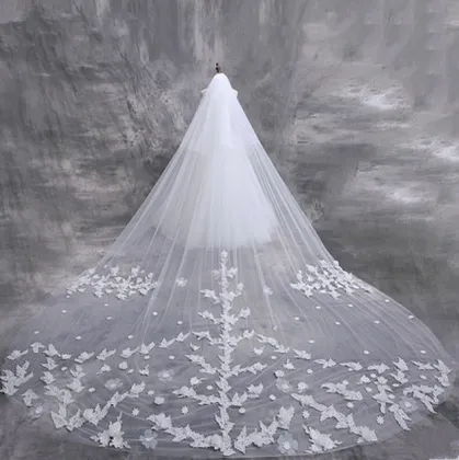 2017 Cathedral Lace Edge Wedding Bridal Veil with Comb (Dream-100097)