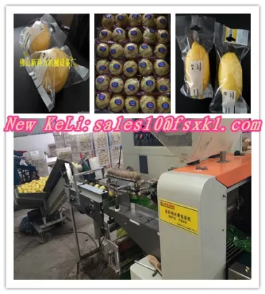 Single lemon automatic wrapping machine