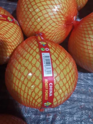 Fresh Pomelo New Crop