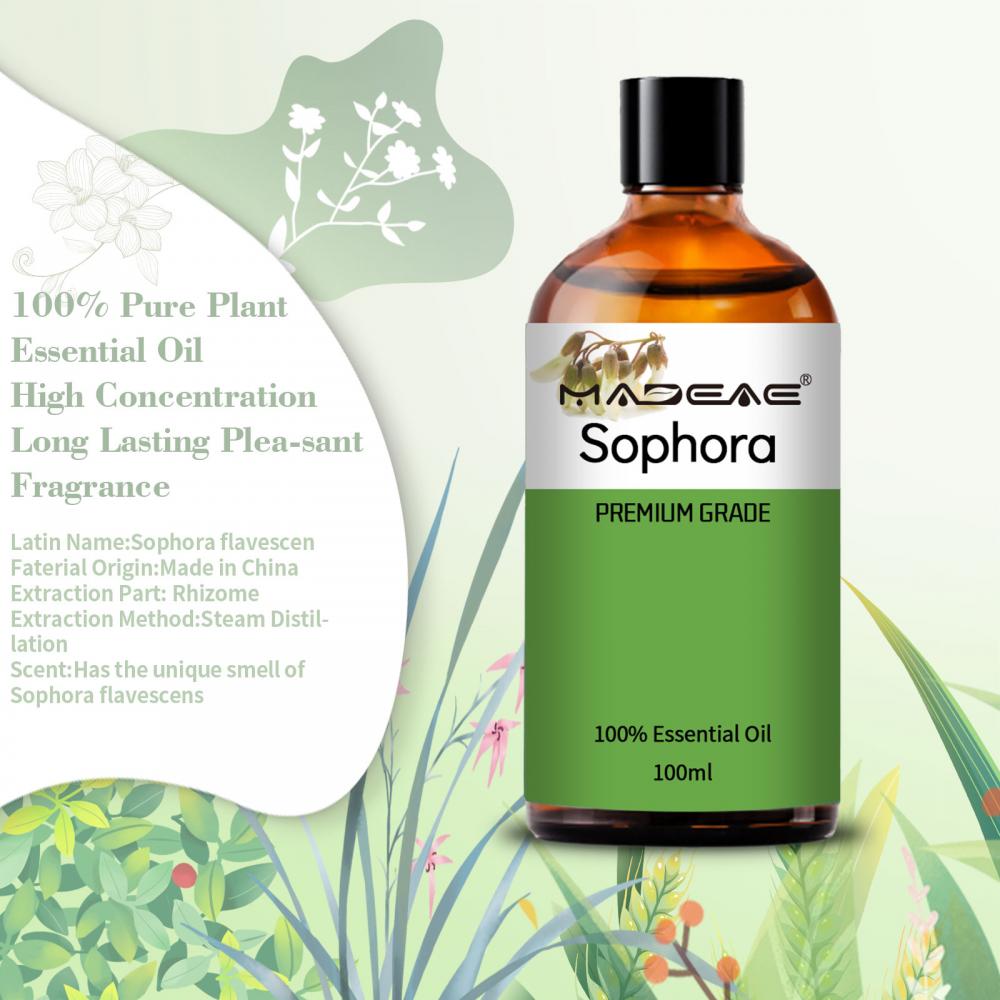 Óleo essencial de alta qualidade Pure Nature Sophorae Flavescentis Oil