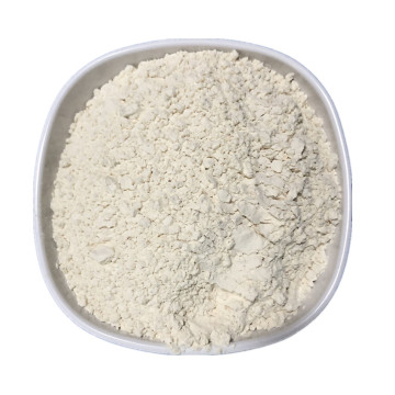 High purity L-Carnosine 99%Min at wholesale price