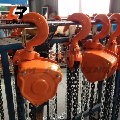 Japan Vital Brand 1 Ton Chain Pulley Block for Hoists