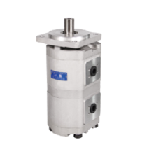CBKP Double Gear Oil Pump