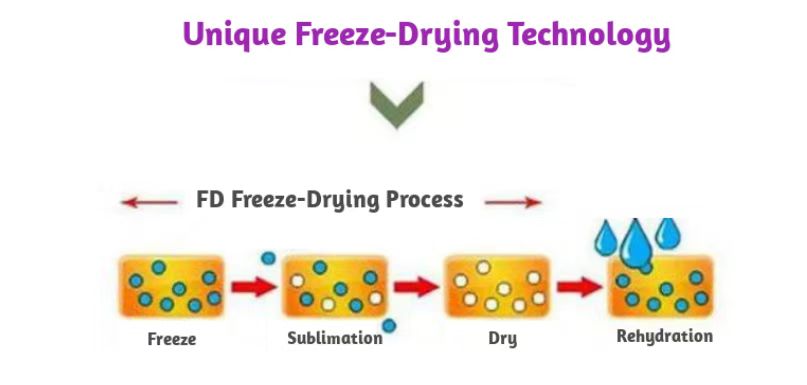 freeze dried powder fruit