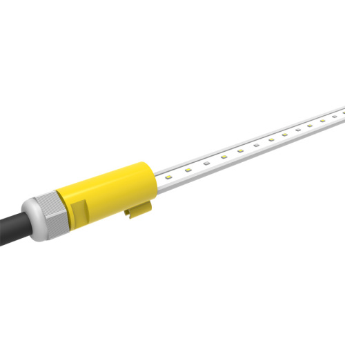 layer poultry lighting