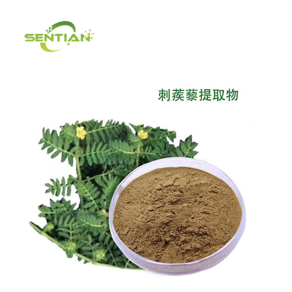 buy tribulus terrestris