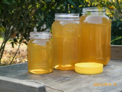 Healthy Original Pure Nature Bee Litchi Honey