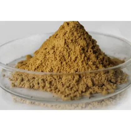 Natural Herb Medicine Tussilago Farfara/Flos Farfarae Extract