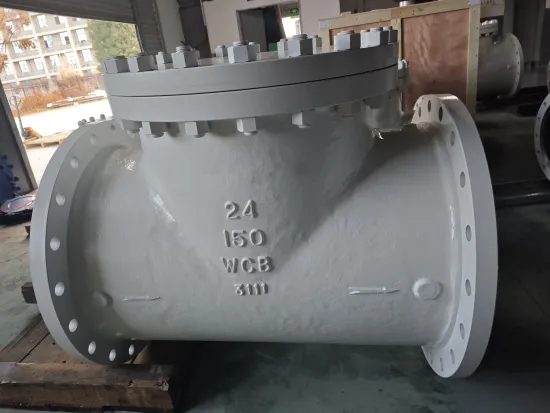 20inch 150LB Carbon Steel Tee strainer