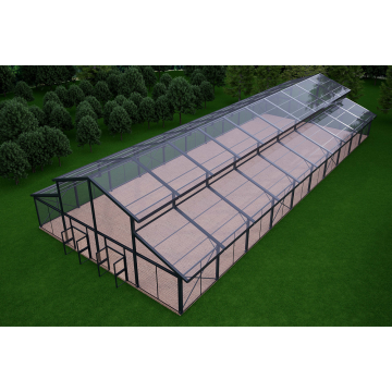 Chrysanthemum Round Transparent Tent