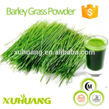 Factory supply Natural Green extract Barley Grass Powder/barley grass juice powder