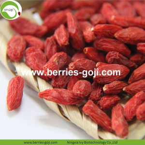 Kilang Jualan Hot Kering Tibet Goji Berries