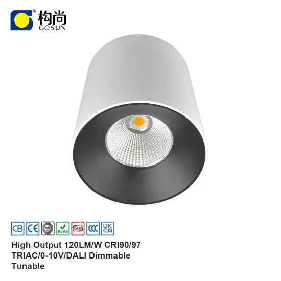 Flicker-Free 32W LED Surface Mounted Downlight