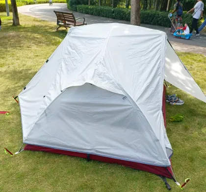 Ultralight 4 Season Backpacking and Mountaineering Tent