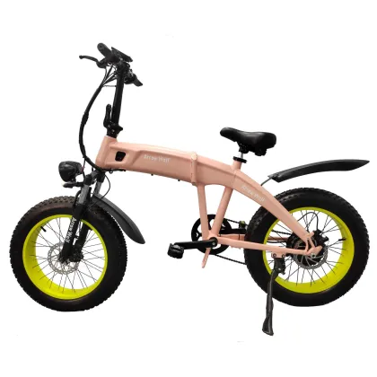 Dual motor snow electric bike
