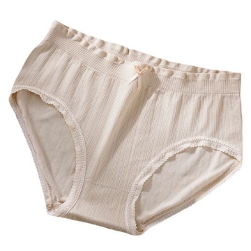Seamless Nylon Spandex Cotton Briefs for Women