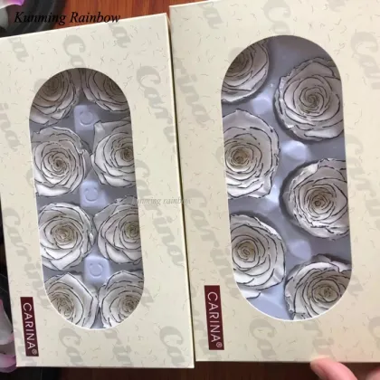 Hot Sale New Preserved White Rose with Black Rim