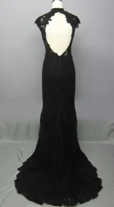 Sleeveless Formal Pleated Evening Dress