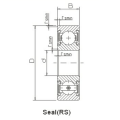 Derin oluk bilyalı rulmanlar SS6211