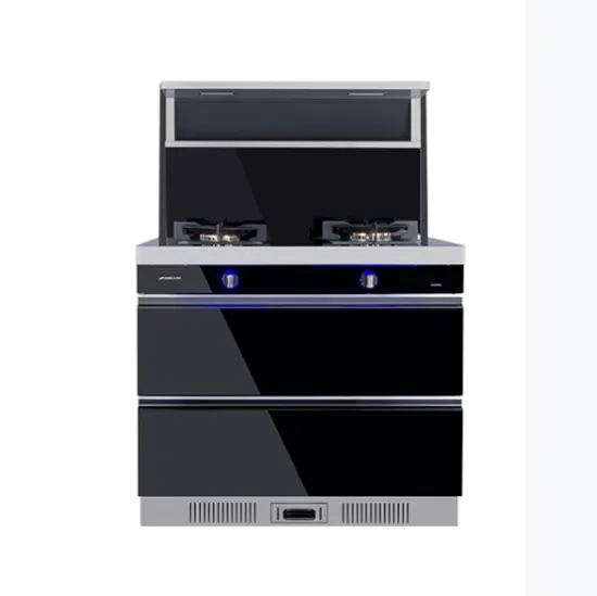 Free Standing Integrated Cooker Combine With Gas Stove