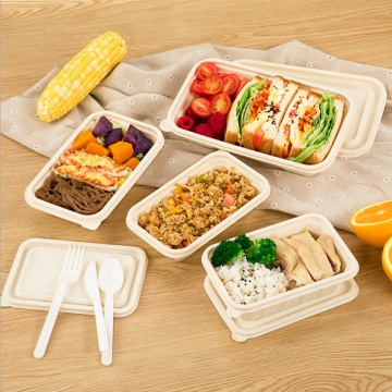 Factory Microwavable Plastic Disposable Food Packaging Boxes Storage Cornstarch Lunch Box