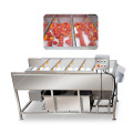 Máquina de lavar industrial de frutas e tomates
