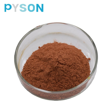 Cinnamon Bark Extract Powder 20%