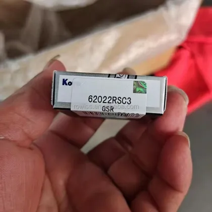 Original Japan Long Life Deep Groove Ball Bearing