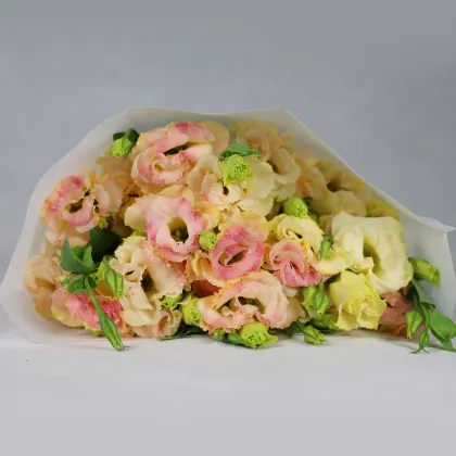 Yunnan Kunming Wholesale Fresh Cut Flowers: Eustoma for Florists & Wedding Decorations