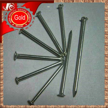 common wire nails ( Factory Pirce )