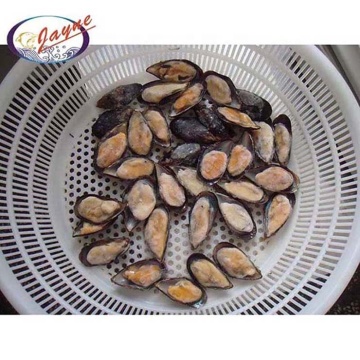 Supplier selling high quality live shellfish without shell blue mussel meat