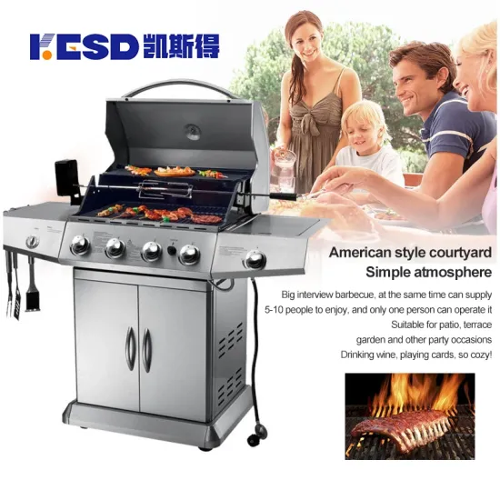 Stainless Steel Charcoal BBQ Grill Detachable Portable Gas Barbeque Outdoor Camping Charcoal and Gas Grill Trolley with Wheels