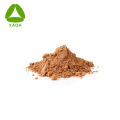 Halal ISO9001 Food Cosmetic Citrus Leaf Extract Powder