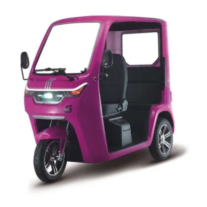 EEC Certificate Electric Tricycle Adult Cargo Passenger Three Wheels electric tuk tuk