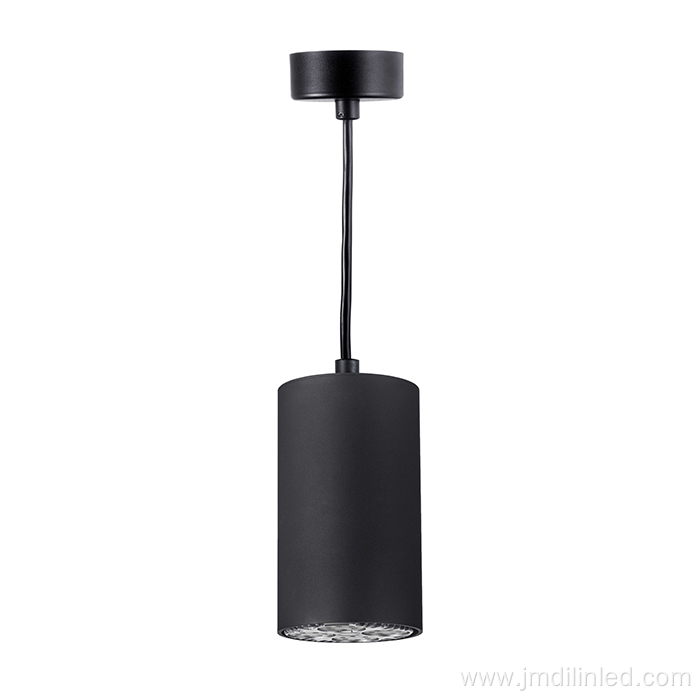 LED track light Black Bulb fixtures