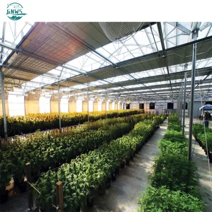 Rapid Delivery Solutions for Commercial Hemp Greenhouse Shading Systems