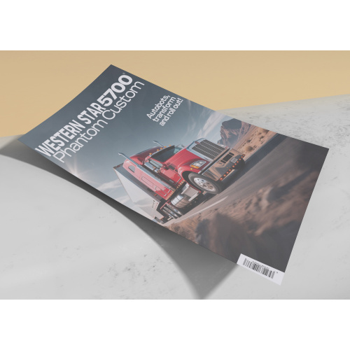 Promotional business flyers design