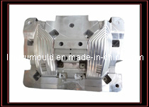 Plastic Car Lamp Mould/Mold (LY-839)