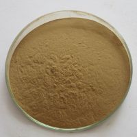 Agastache rugosa powder