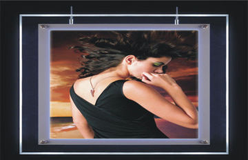 12 Volt 14 Mm A1 Animation Crystal Led Family / Shop Light Box Epistar 3528