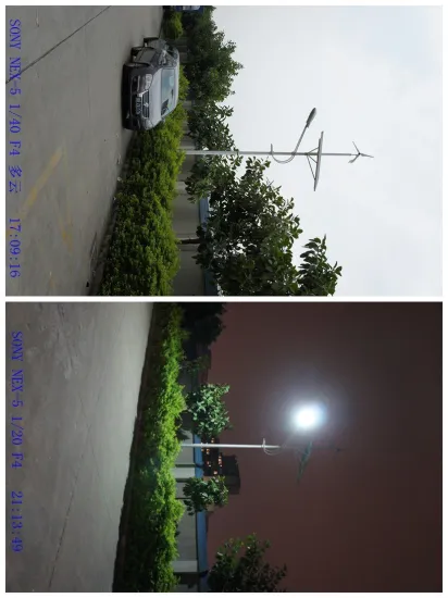 Solar Wind Street Lights Lamp With 120w 8.8a / 4.4a Solar Panel For Urban Roads