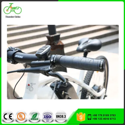 Electric Mountain Bikes with 250W-8Fun Brand Motor