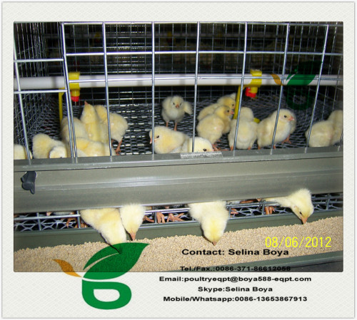 Poultry chicken farm used broiler cage with free chicken house design