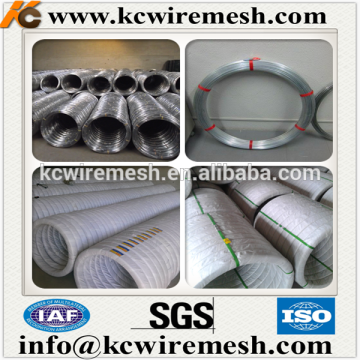 Arame ovalado galvanizado 15*17