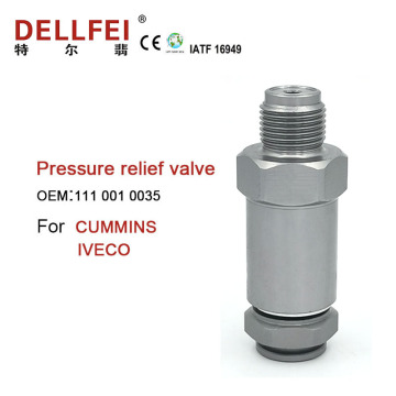 Valve de limiteur de pression de rail commun 111 001 0035