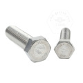 stainless steel hexagon screw